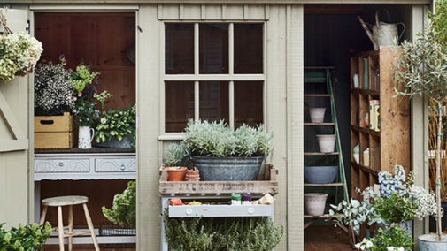 View from outside of pale green shed surrounded by potted plants